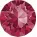 Indian Pink