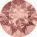 Blush Rose
