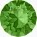 Fern Green