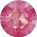 Lotus Pink Delite