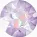 Lavender Delite