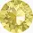 Jonquil